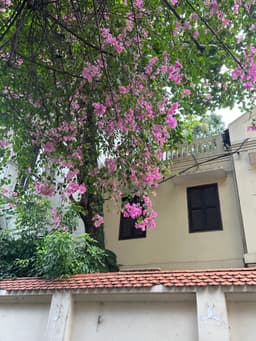 Trần Ngọc Tân